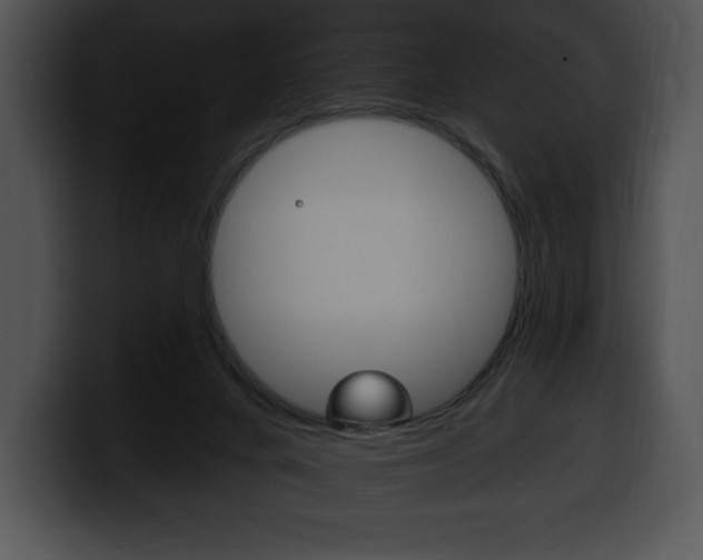 X0000100500024200806130738