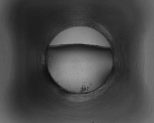 X0000100500025200806130738