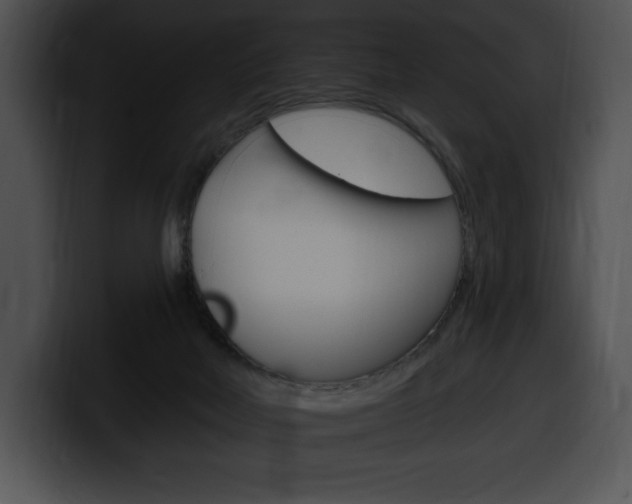 X0000100500026200806130738