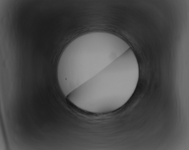 X0000100500028200806130738