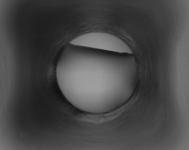 X0000100500029200806130738