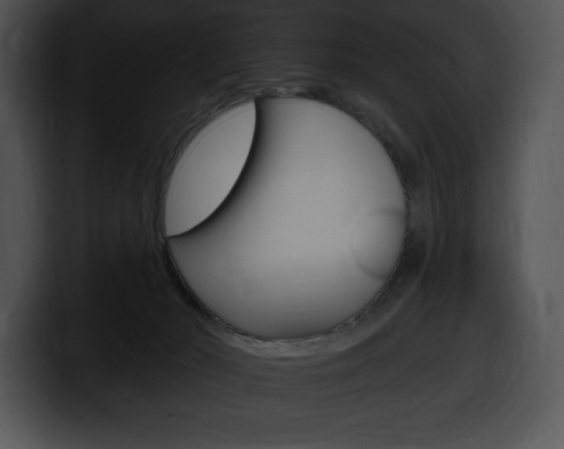 X0000100500030200806130738