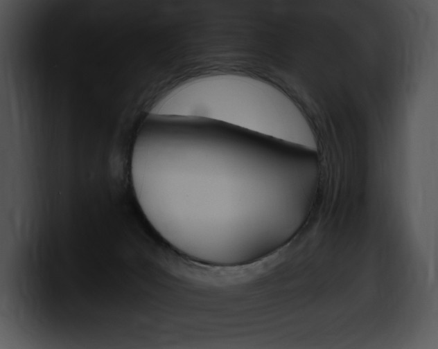 X0000100500031200806130738