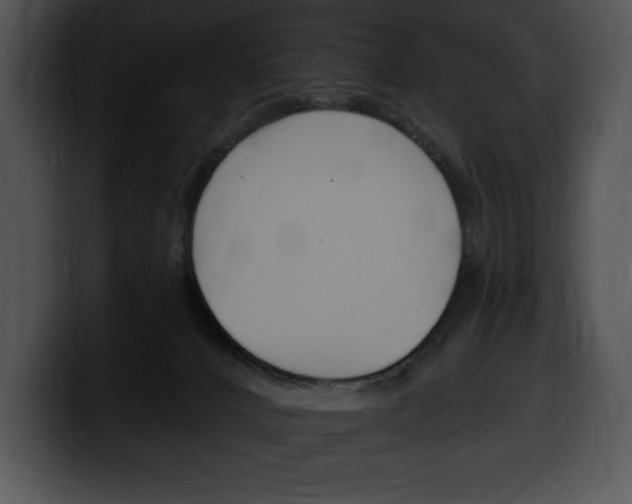 X0000100500032200806130738