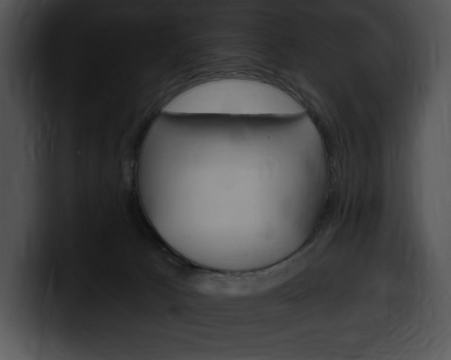 X0000100500033200806130738