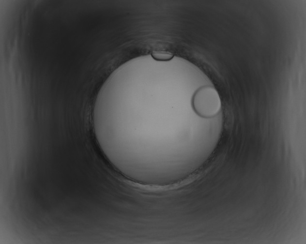 X0000100500034200806130738