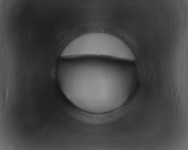 X0000100500035200806130738