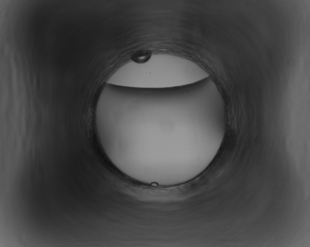 X0000100500036200806130738