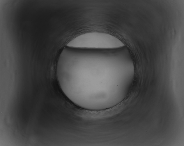 X0000100500037200806130738