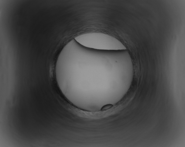 X0000100500038200806130738