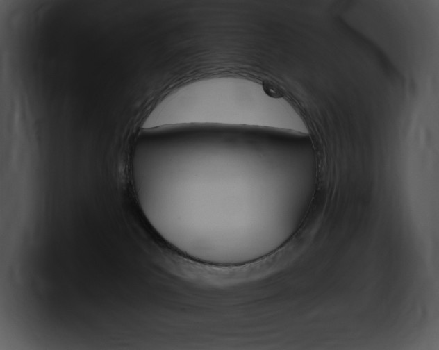 X0000100500039200806130738