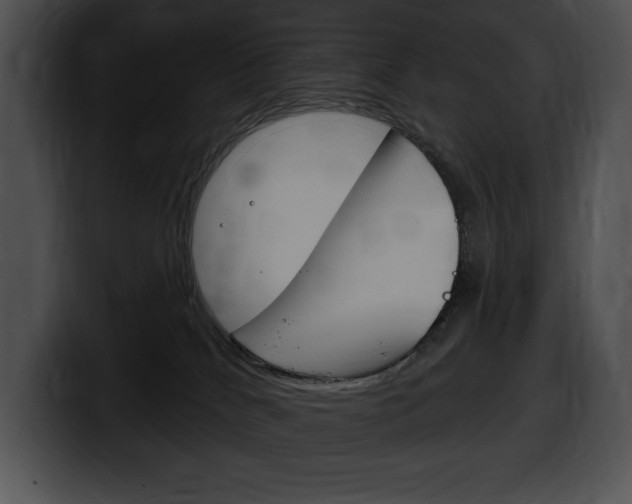 X0000100500040200806130738