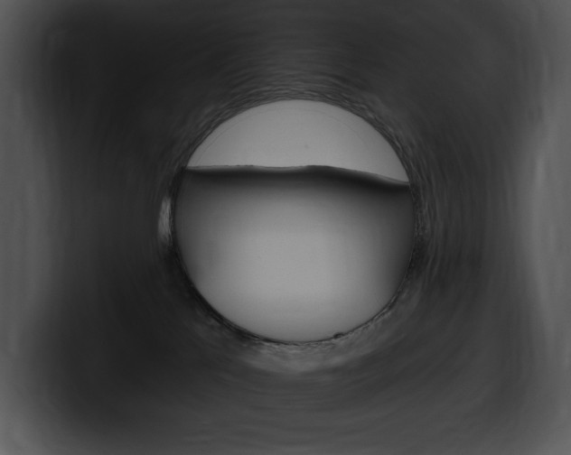 X0000100500041200806130738