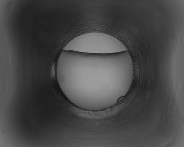 X0000100500042200806130738