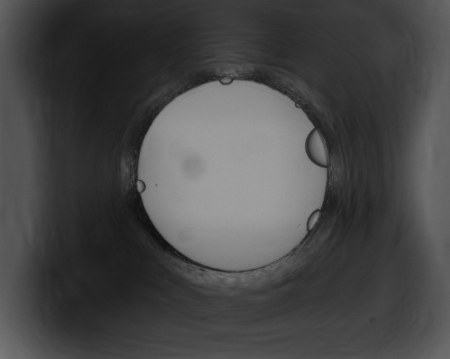 X0000100500043200806130738