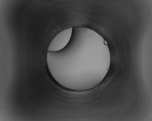 X0000100500044200806130738