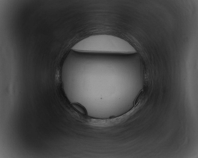 X0000100500045200806130738