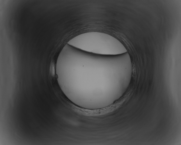 X0000100500046200806130738