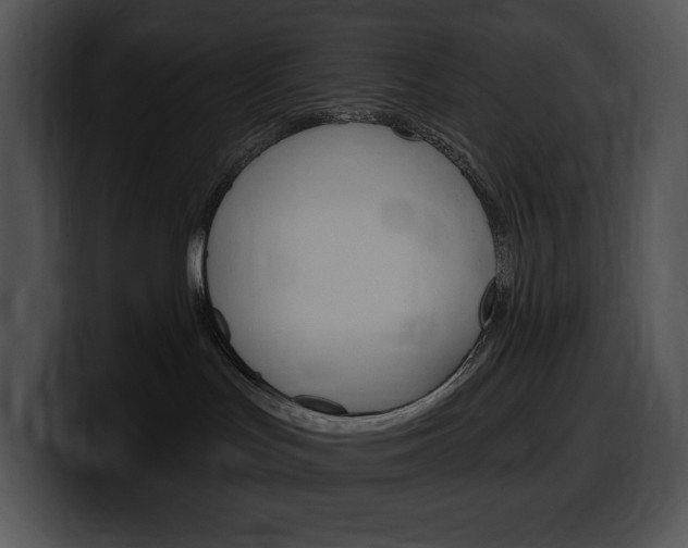 X0000100500047200806130738