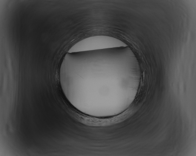 X0000100500048200806130738