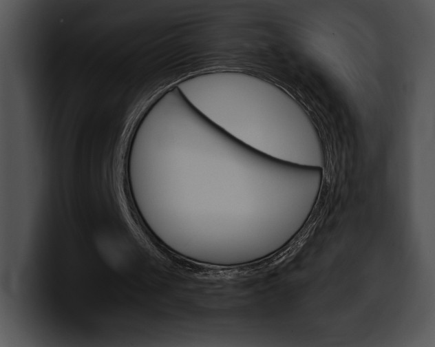 X0000100500049200806130737