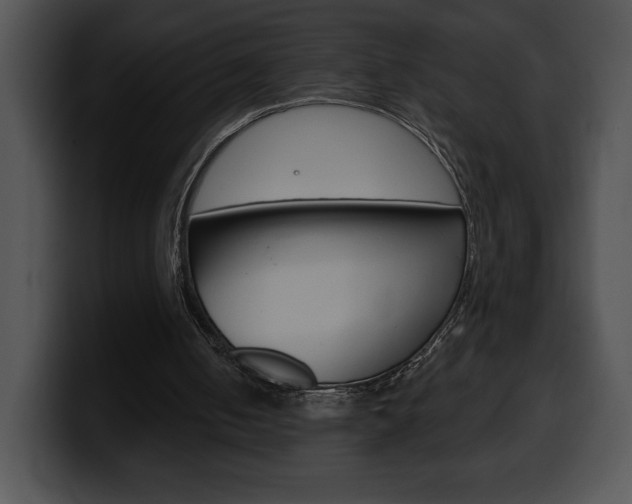 X0000100500050200806130737