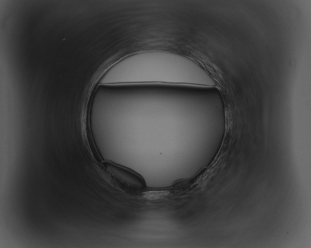 X0000100500051200806130737