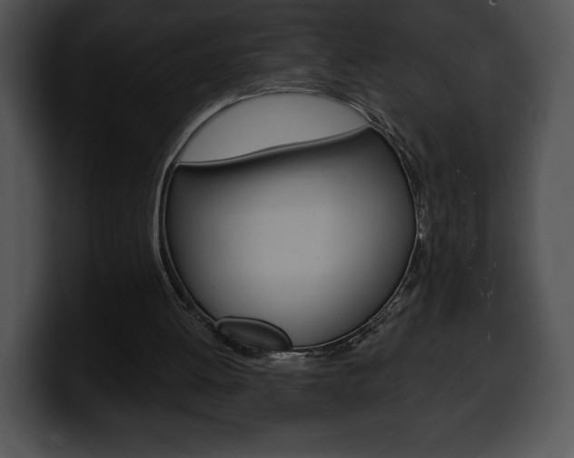 X0000100500052200806130737