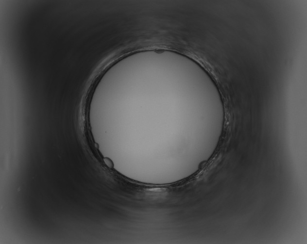 X0000100500053200806130737