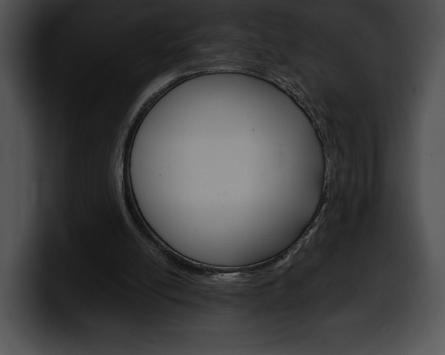 X0000100500054200806130738