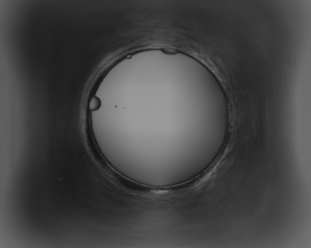 X0000100500055200806130738