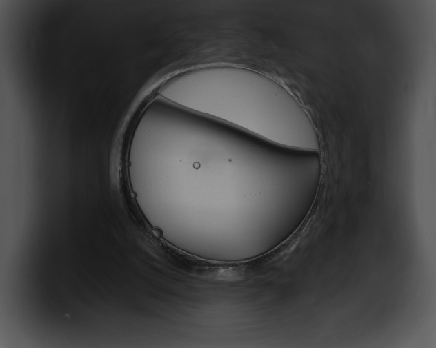 X0000100500056200806130738