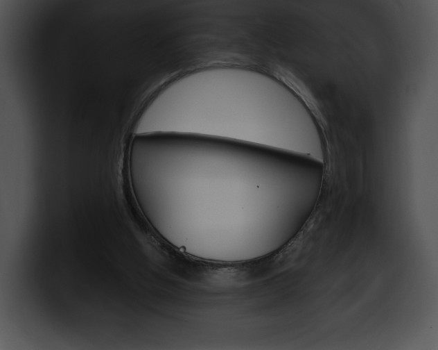 X0000100500058200806130738