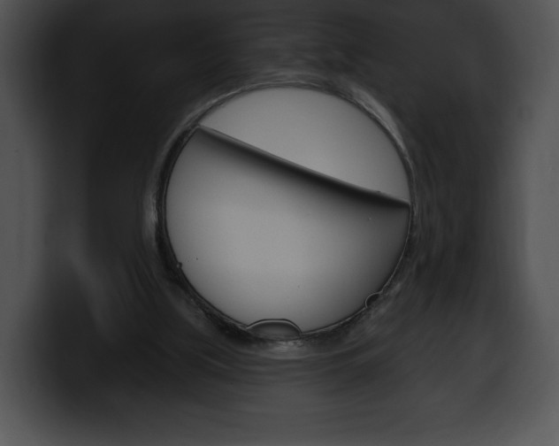 X0000100500059200806130738