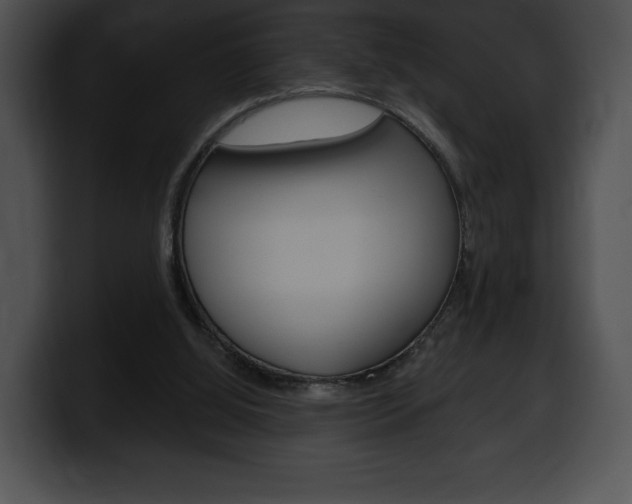 X0000100500060200806130738