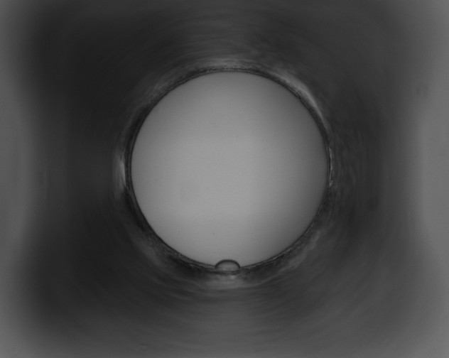 X0000100500061200806130738