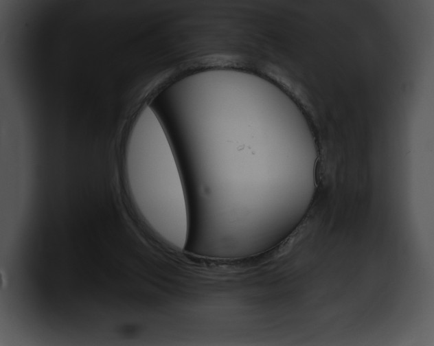 X0000100500062200806130738