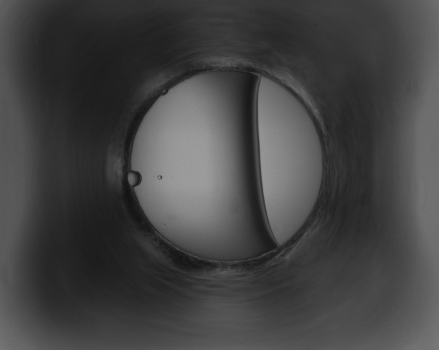 X0000100500063200806130738