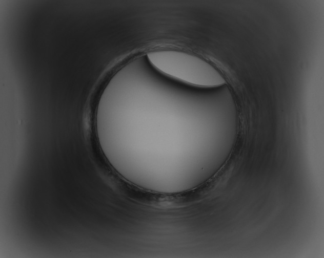 X0000100500064200806130738