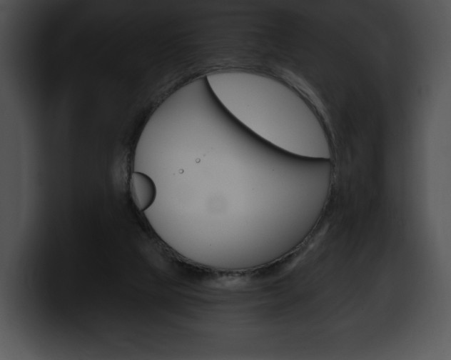 X0000100500065200806130738