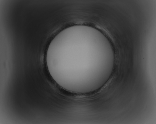 X0000100500066200806130738