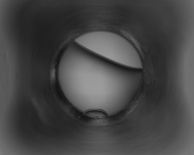 X0000100500067200806130738