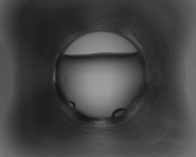 X0000100500068200806130738