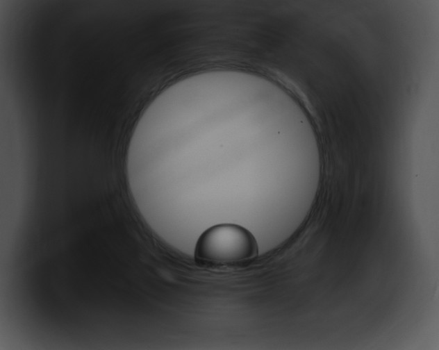 X0000100500069200806130738