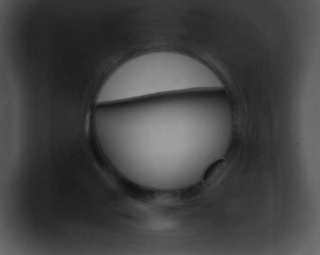 X0000100500070200806130738