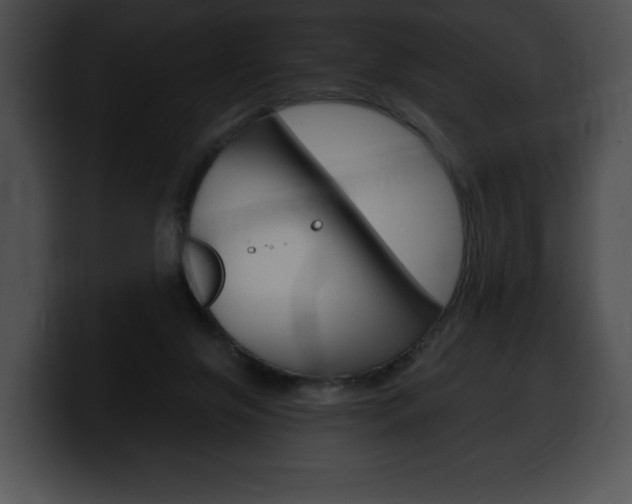 X0000100500071200806130738