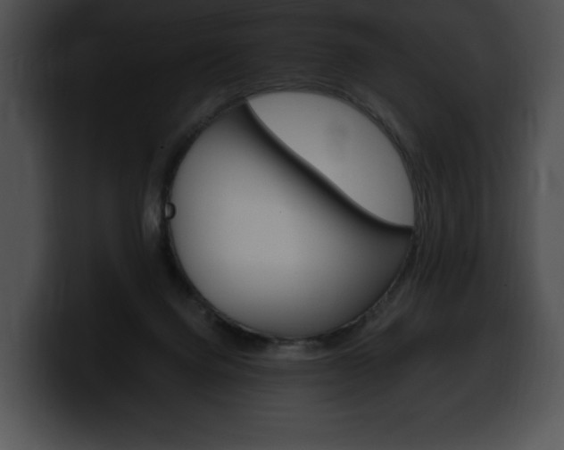 X0000100500072200806130738