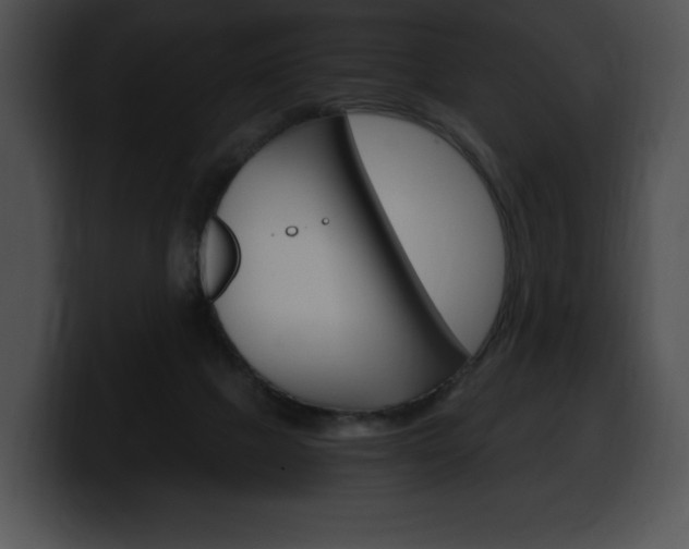 X0000100500073200806130738