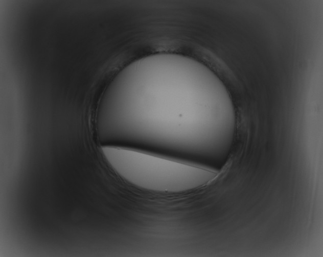 X0000100500074200806130738