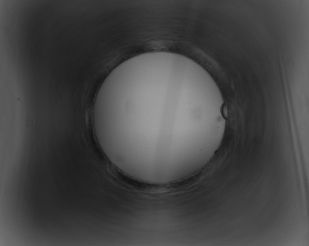 X0000100500075200806130738